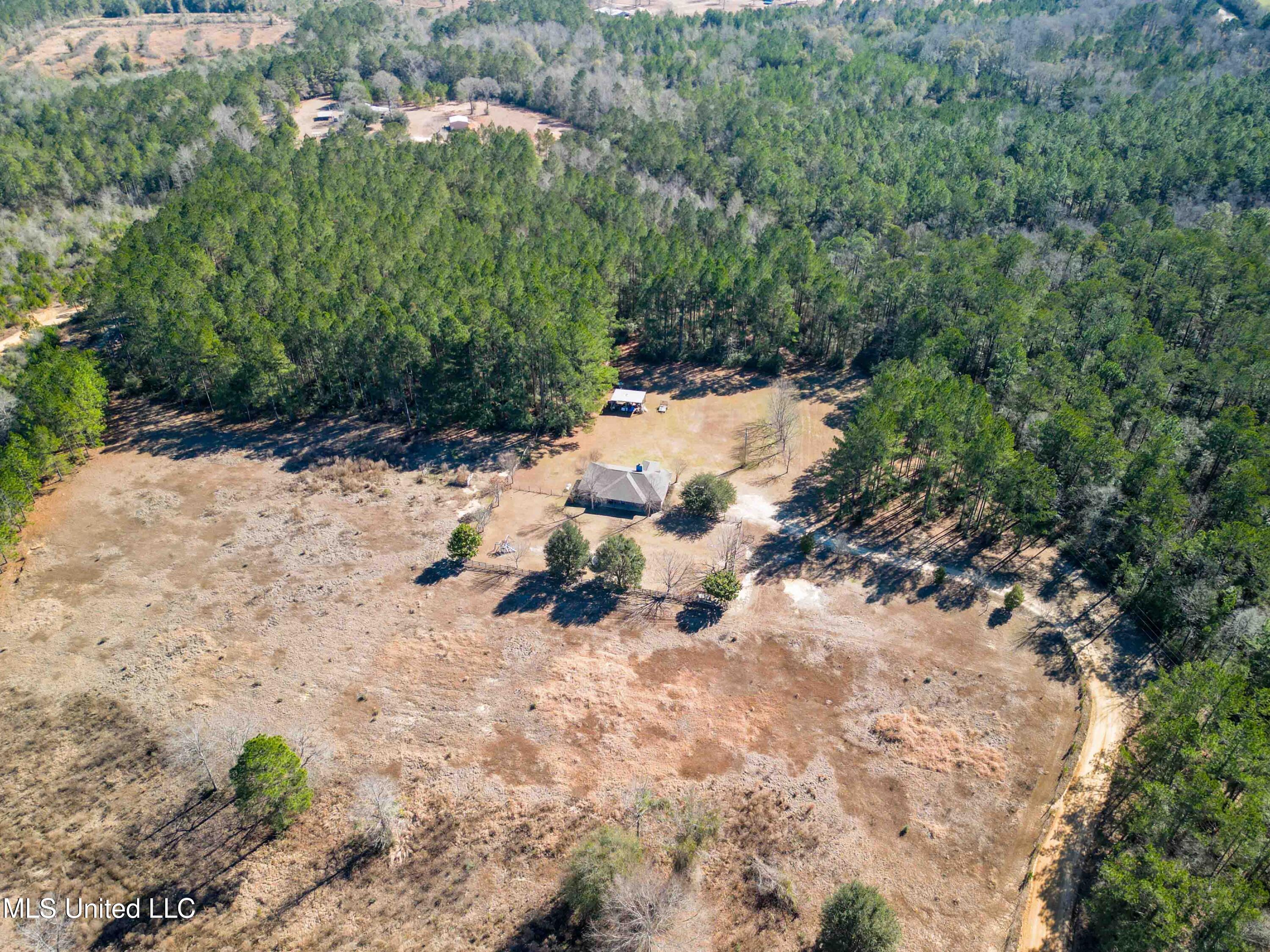 140 Cades Ridge Neely, MS 39461 - Photo 24 of 33 Land View