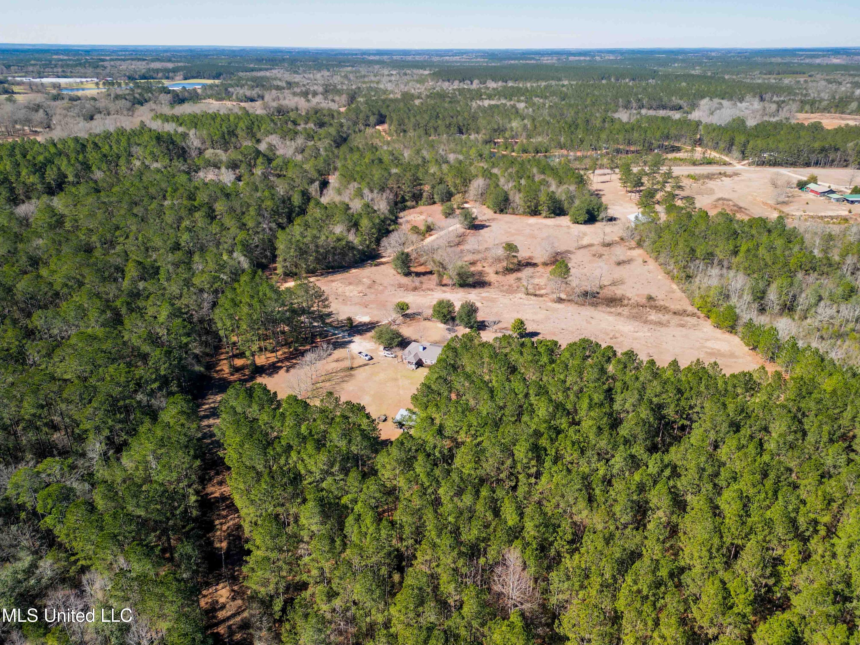 140 Cades Ridge Neely, MS 39461 - Photo 25 of 33 Land View