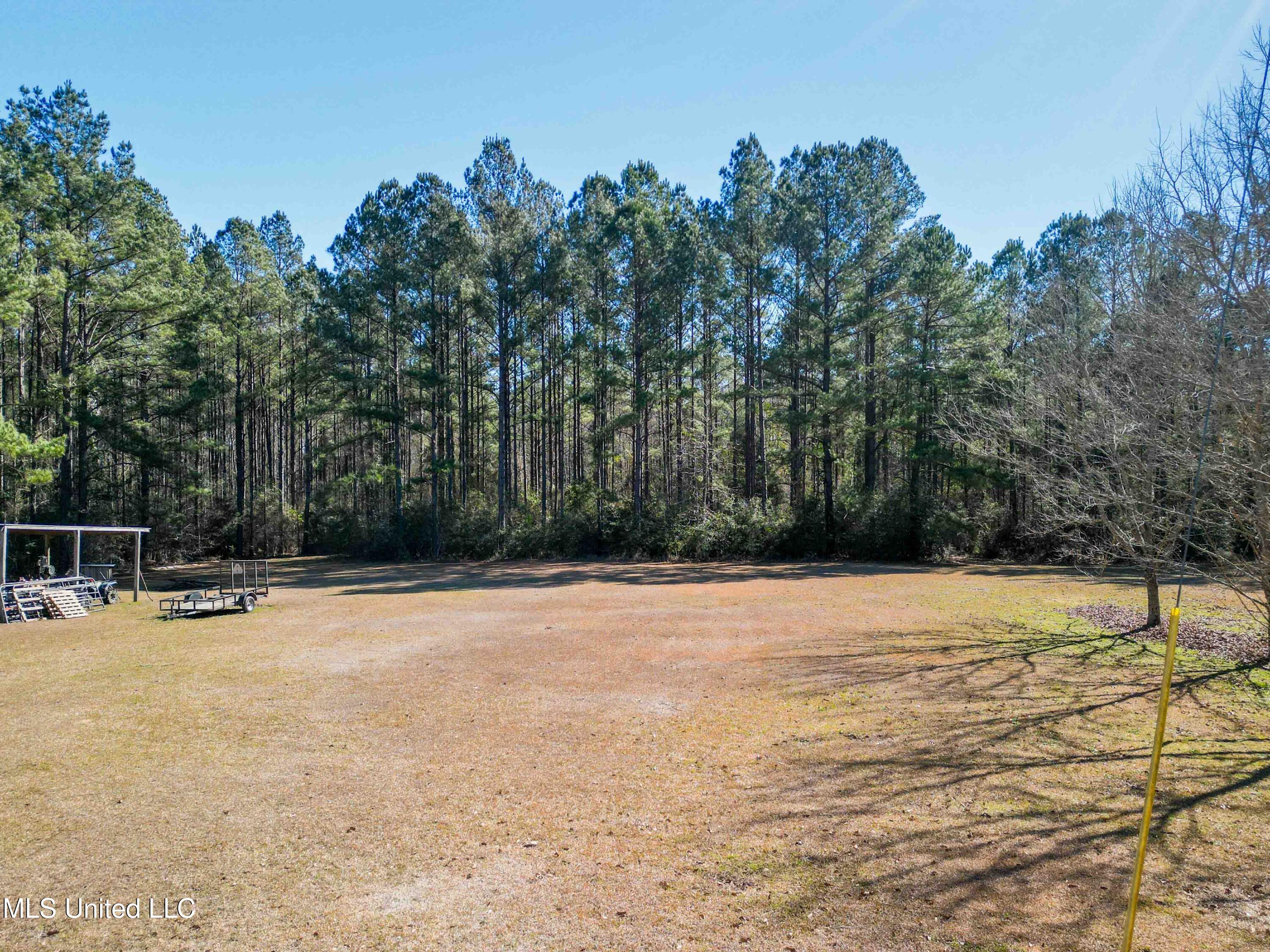 140 Cades Ridge Neely, MS 39461 - Photo 26 of 33 Land View