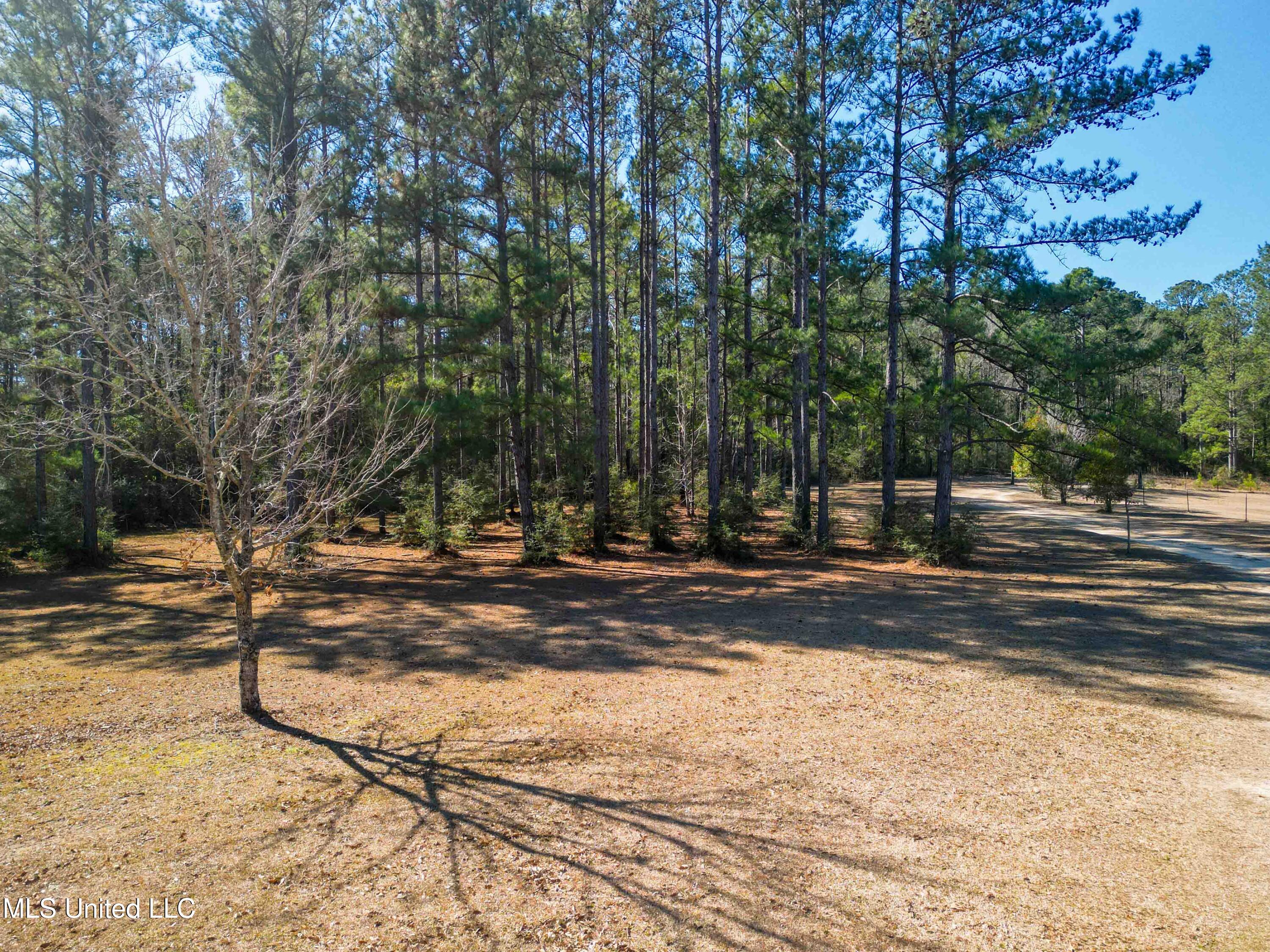 140 Cades Ridge Neely, MS 39461 - Photo 27 of 33 Land view