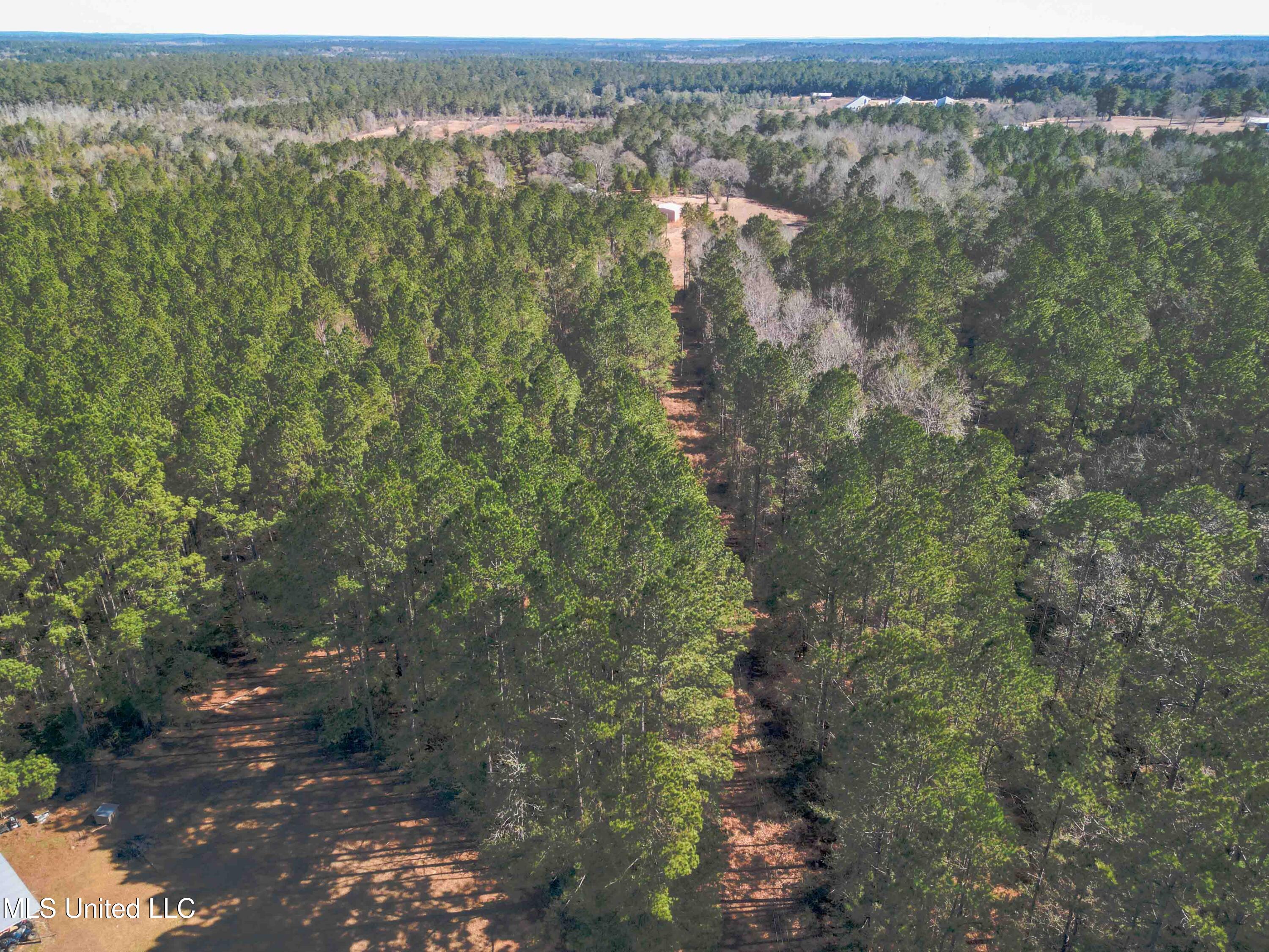 140 Cades Ridge Neely, MS 39461 - Photo 28 of 33 Land View