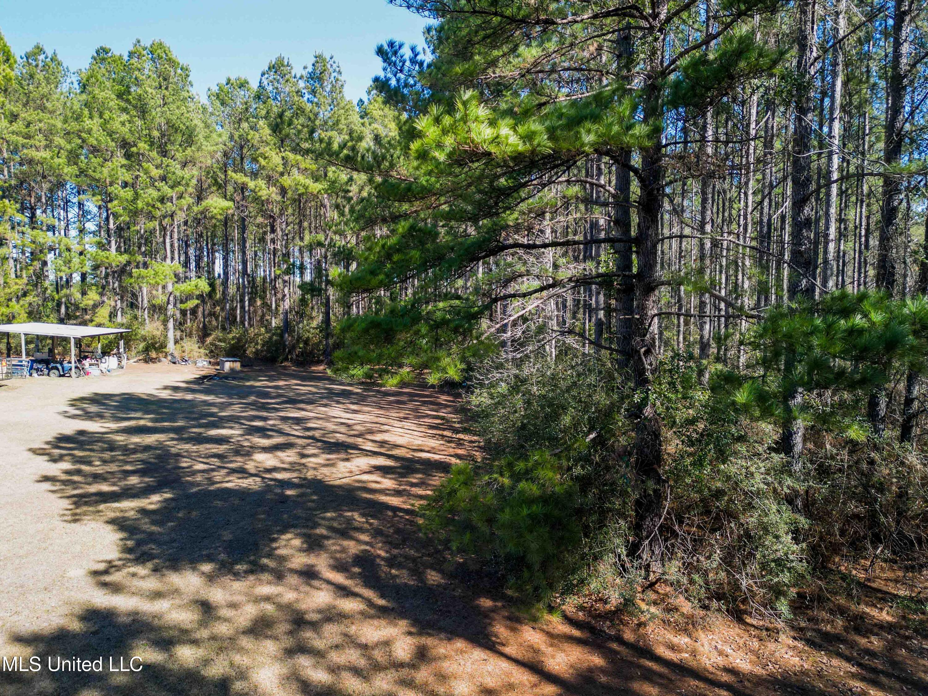 140 Cades Ridge Neely, MS 39461 - Photo 30 of 33 Land View