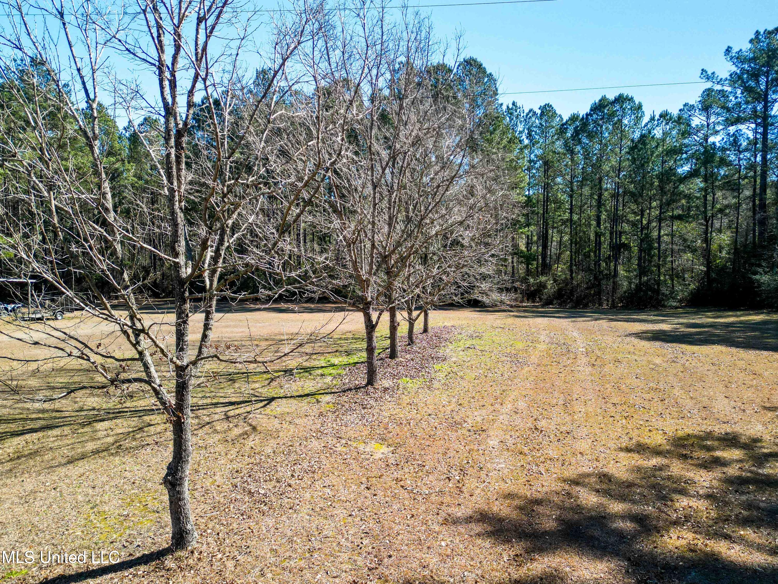 140 Cades Ridge Neely, MS 39461 - Photo 31 of 33 Land View