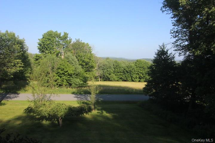 545 Stump Pond Road Livingston Manor, NY 12758 - Photo 15 of 40