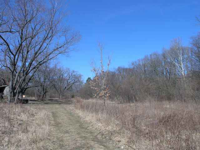 0 West Cowser Road Glasford, IL 61533 - Photo 3 of 5