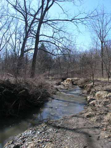 0 West Cowser Road Glasford, IL 61533 - Photo 4 of 5