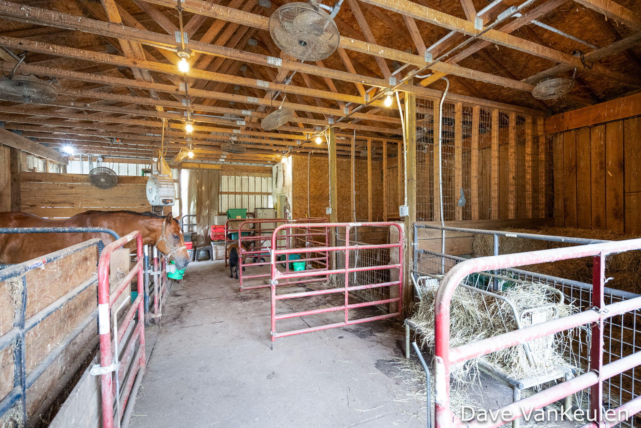 4494 Barber Road Hastings, MI 49058 - Photo 56 of 71 64-web-or-mls-4494 Barber Rd-64