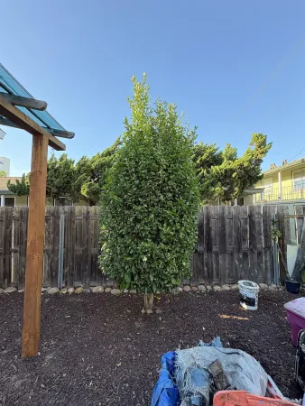 $2,450 | 4329 Utah Street, Unit A, San Diego, CA 92104