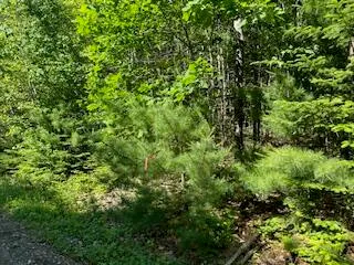 $72,500 | Lot #3 Bonnie Way, Winterport, ME 04496