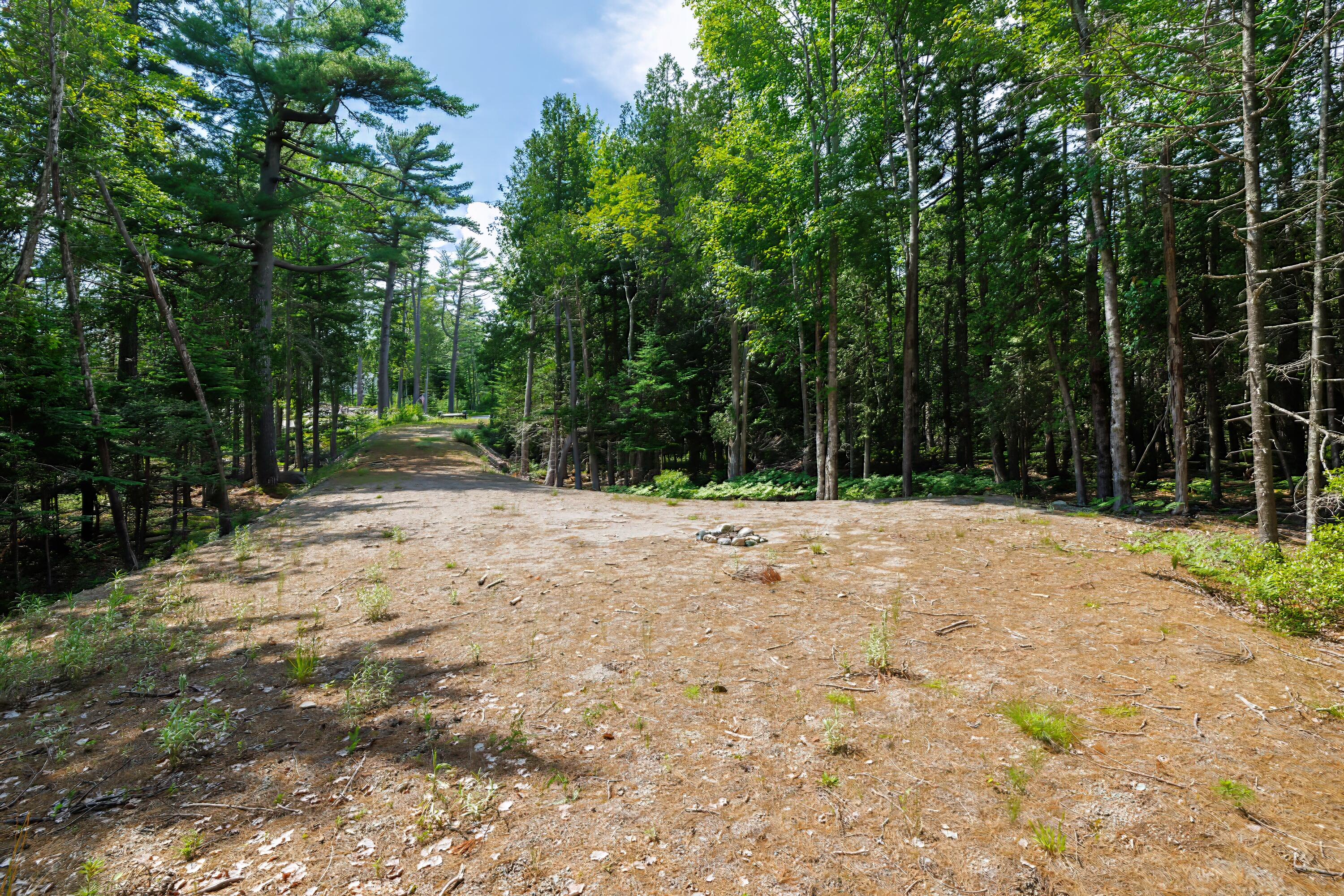 Lot 4 Echo Wds Road Mount Desert, ME 04660 - Photo 12 of 18 driveway looking up