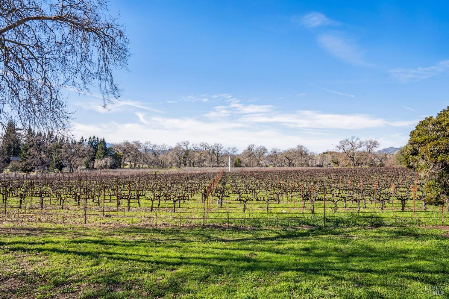 1180 Monticello Road Napa, CA 94558 - Photo 23 of 68