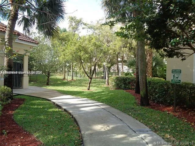 a view of a park with palm trees