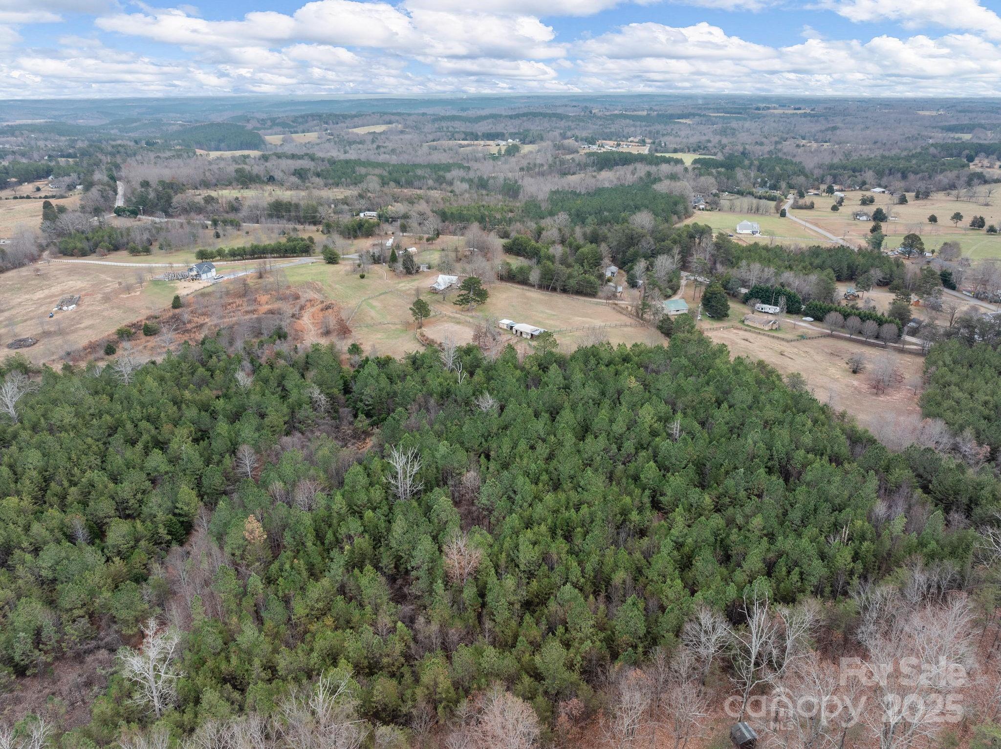 139 Clarkson Lane Tryon, NC 28782 - Photo 26 of 48 an aerial view of residential houses with outdoor space and trees