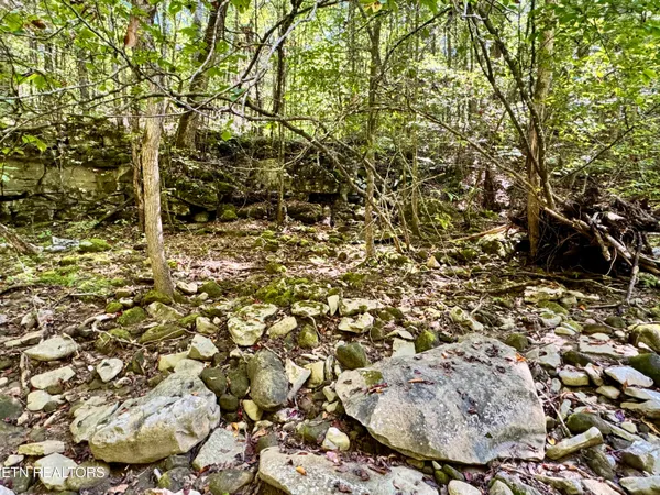 $55,000 | Lot 53 West Bobcat Lane, Wilder, TN 38589