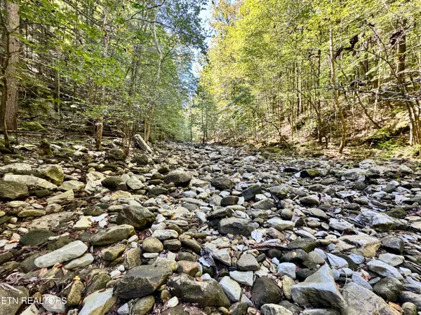 $55,000 | Lot 53 West Bobcat Lane, Wilder, TN 38589