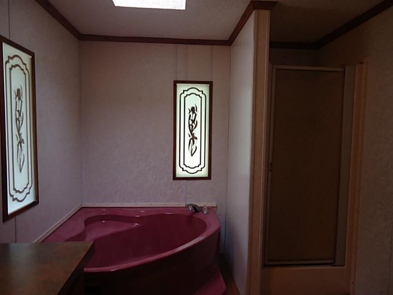 4842 Pitts Road Adamsville, PA 16110 - Photo 12 of 22 Master Bath/Spa.