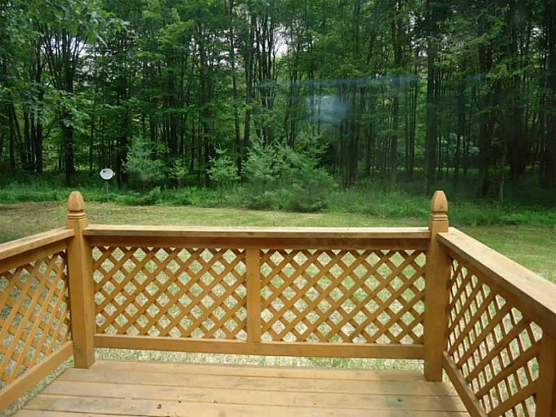 4842 Pitts Road Adamsville, PA 16110 - Photo 16 of 22 Exterior Back.