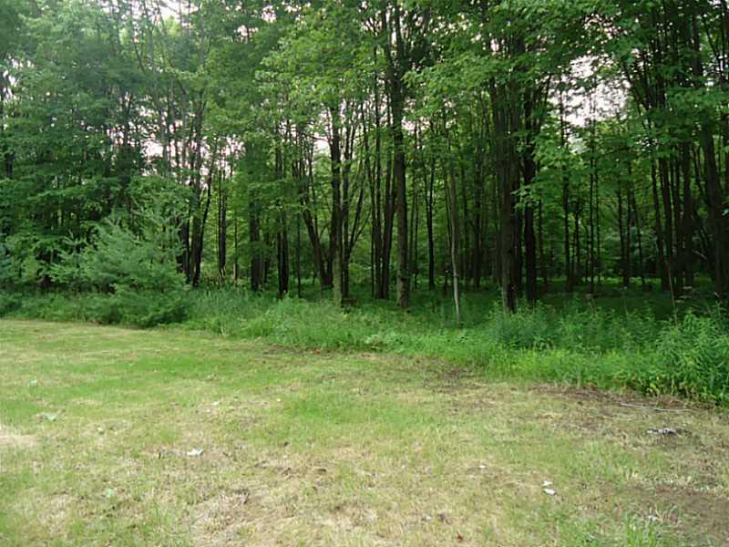 4842 Pitts Road Adamsville, PA 16110 - Photo 18 of 22 Land/Lot.