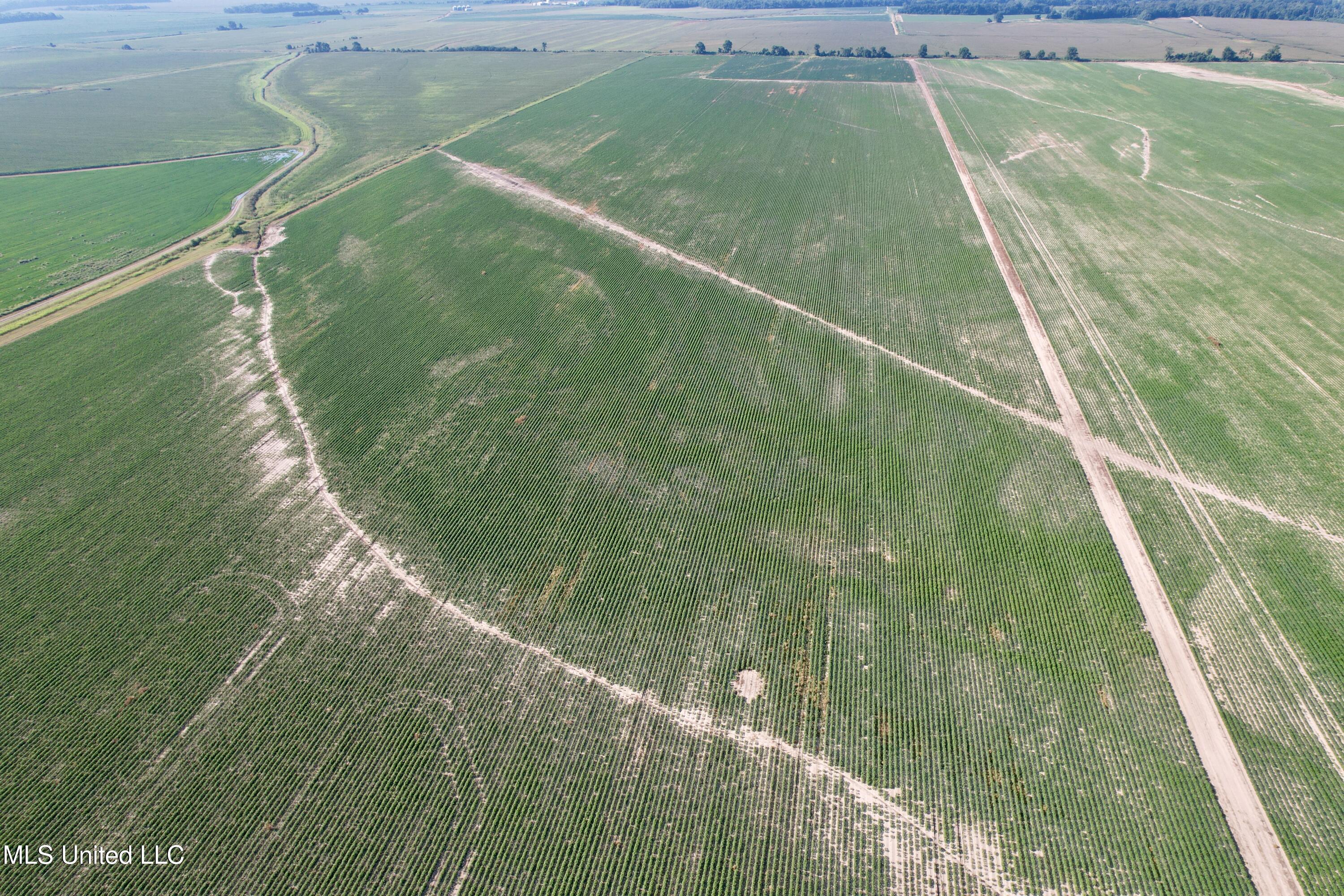 Farrell Road Clarksdale, MS 38614 - Photo 12 of 29 DJI_0072