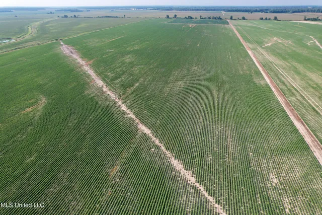 $1,000,000 | Farrell Road, Clarksdale, MS 38614