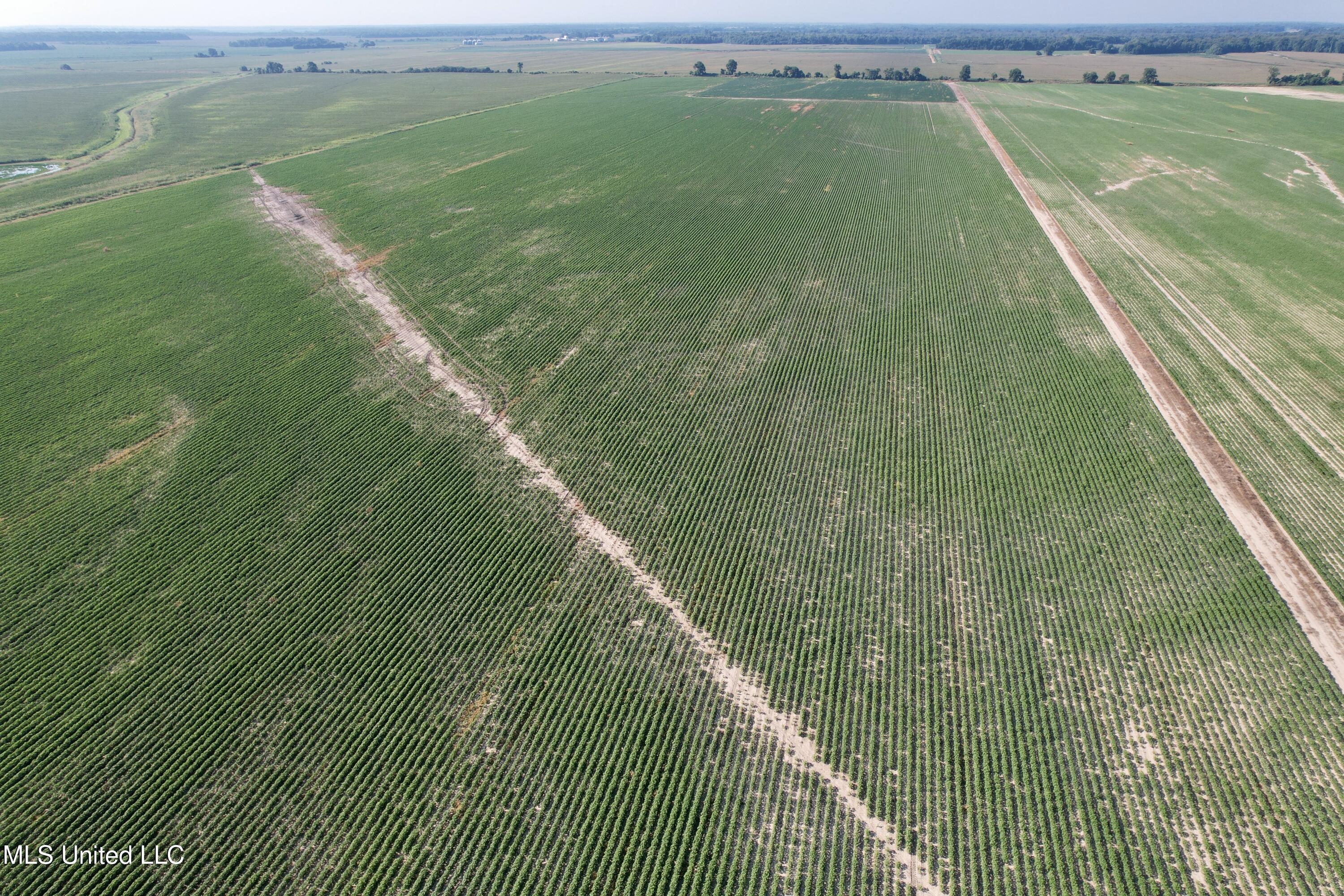 Farrell Road Clarksdale, MS 38614 - Photo 13 of 29 DJI_0073