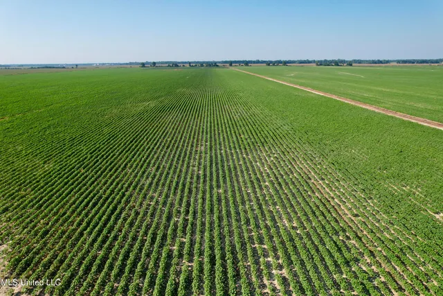 $1,000,000 | Farrell Road, Clarksdale, MS 38614