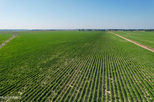 $1,000,000 | Farrell Road, Clarksdale, MS 38614