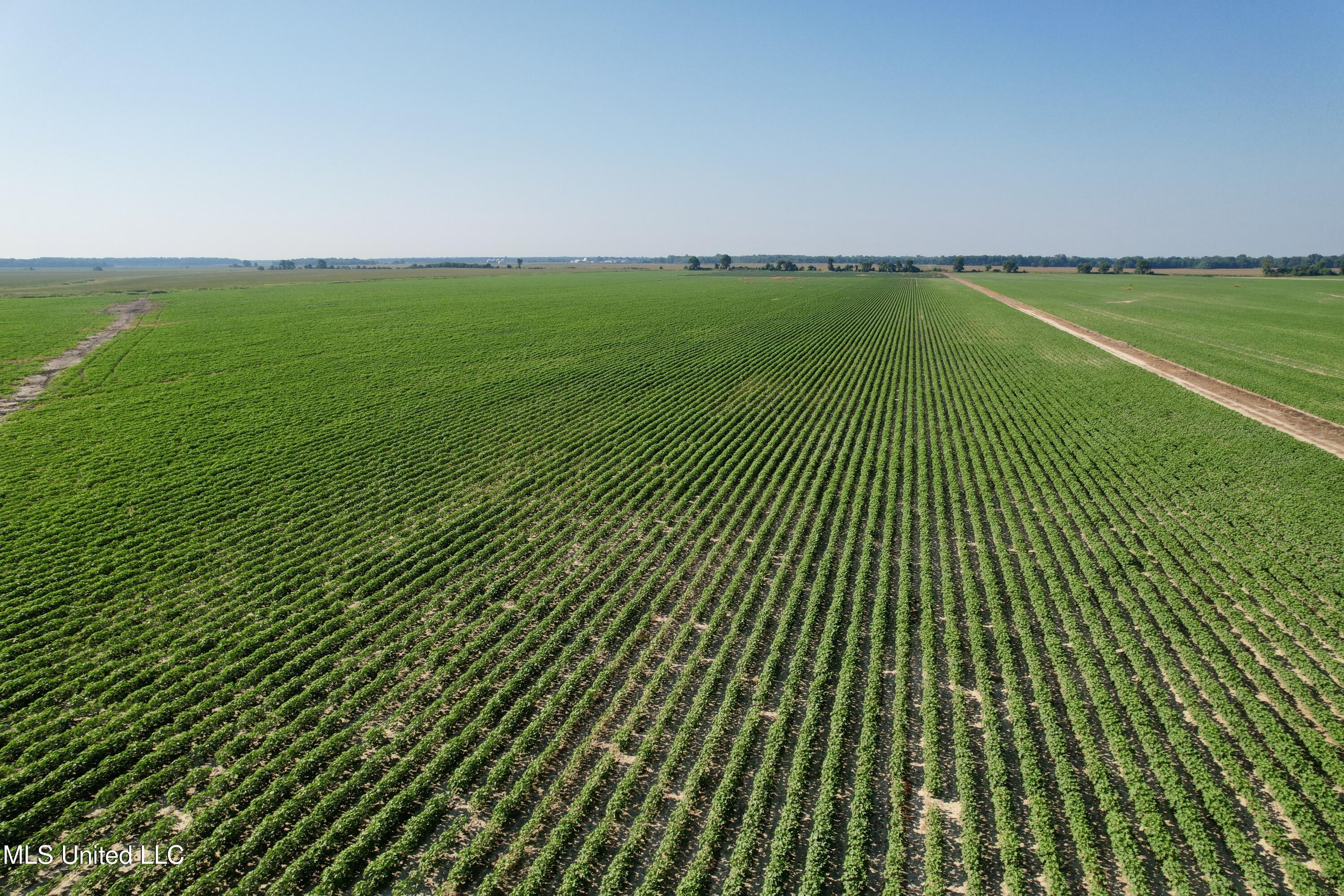 Farrell Road Clarksdale, MS 38614 - Photo 15 of 29 DJI_0075