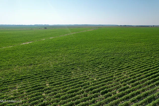 $1,000,000 | Farrell Road, Clarksdale, MS 38614