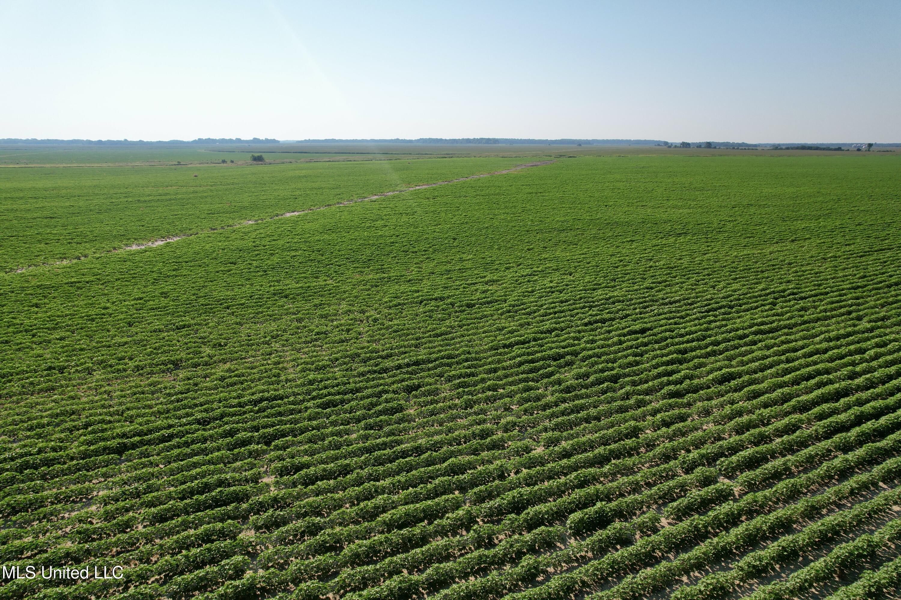 Farrell Road Clarksdale, MS 38614 - Photo 16 of 29 DJI_0076