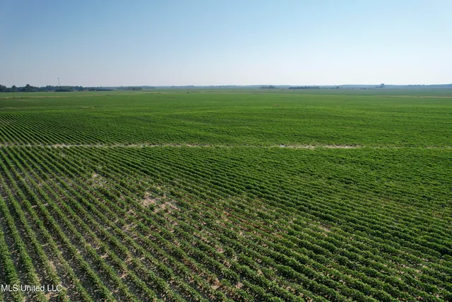 $1,000,000 | Farrell Road, Clarksdale, MS 38614