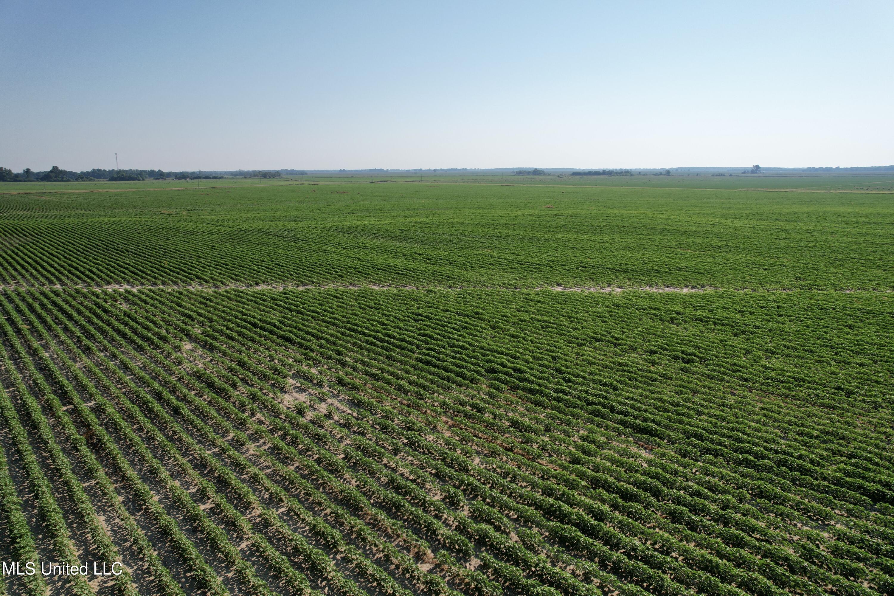 Farrell Road Clarksdale, MS 38614 - Photo 17 of 29 DJI_0077