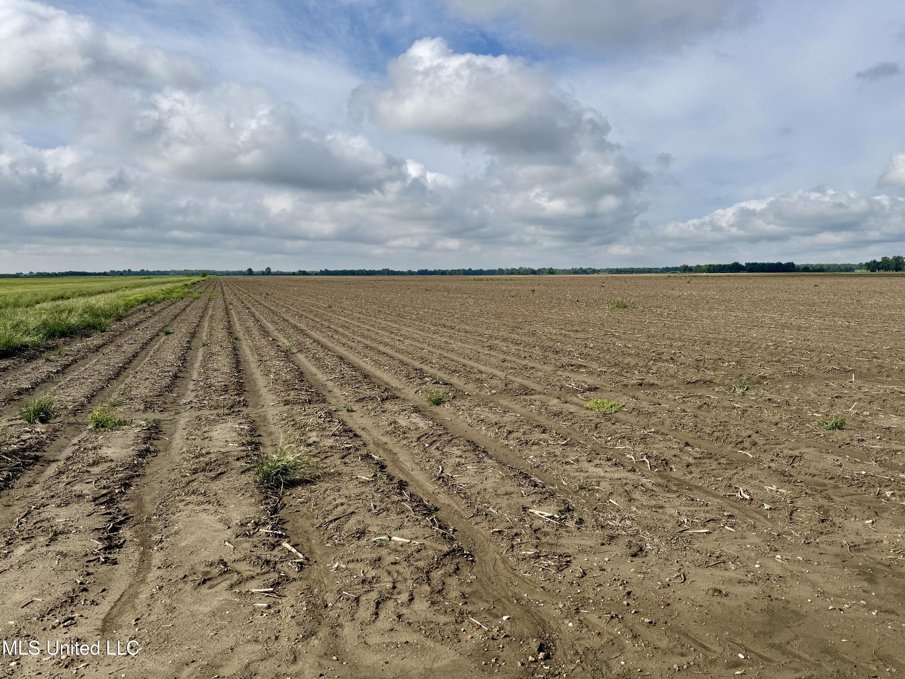 Farrell Road Clarksdale, MS 38614 - Photo 18 of 29 IMG_2572