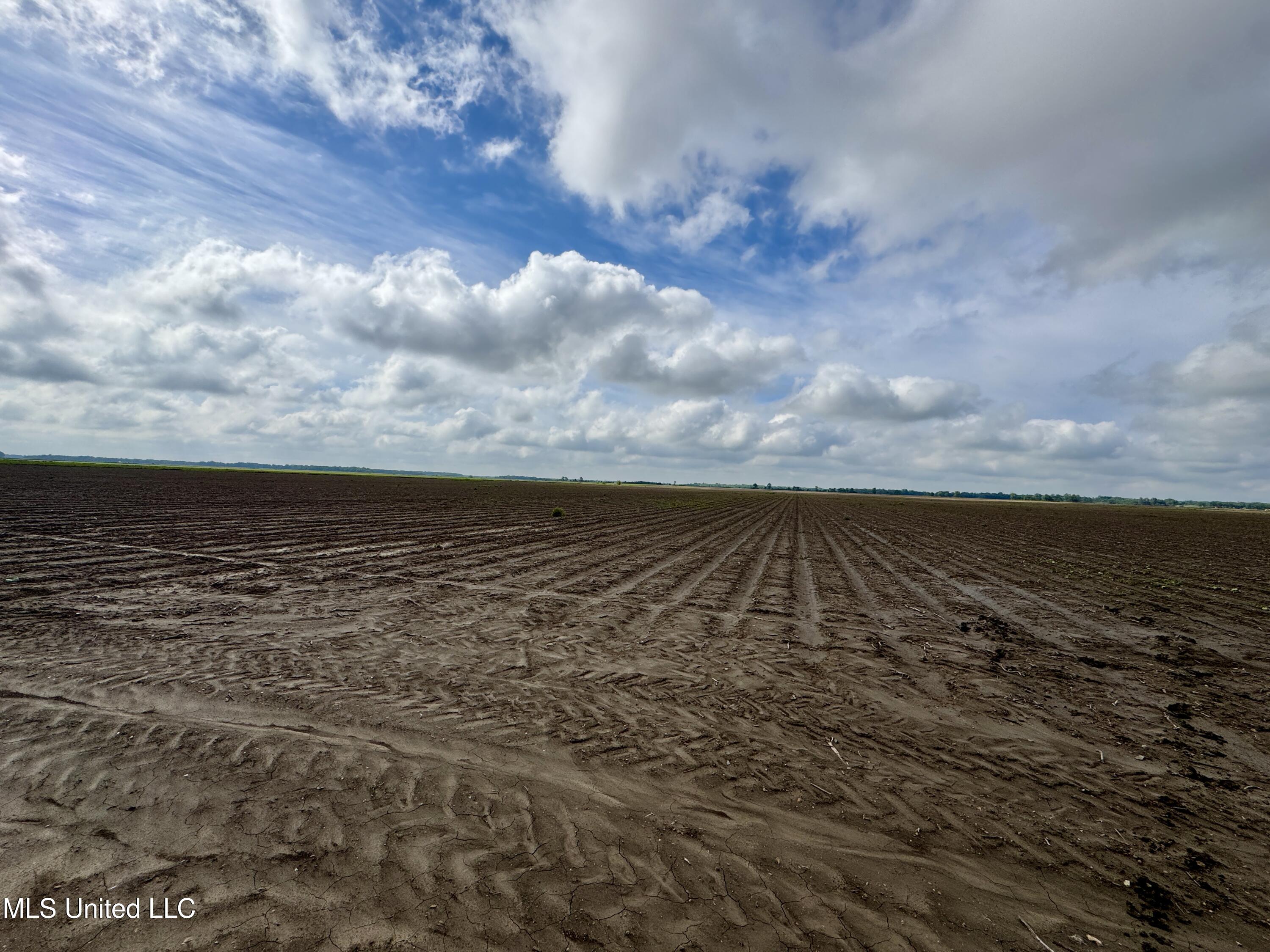 Farrell Road Clarksdale, MS 38614 - Photo 21 of 29 IMG_2575