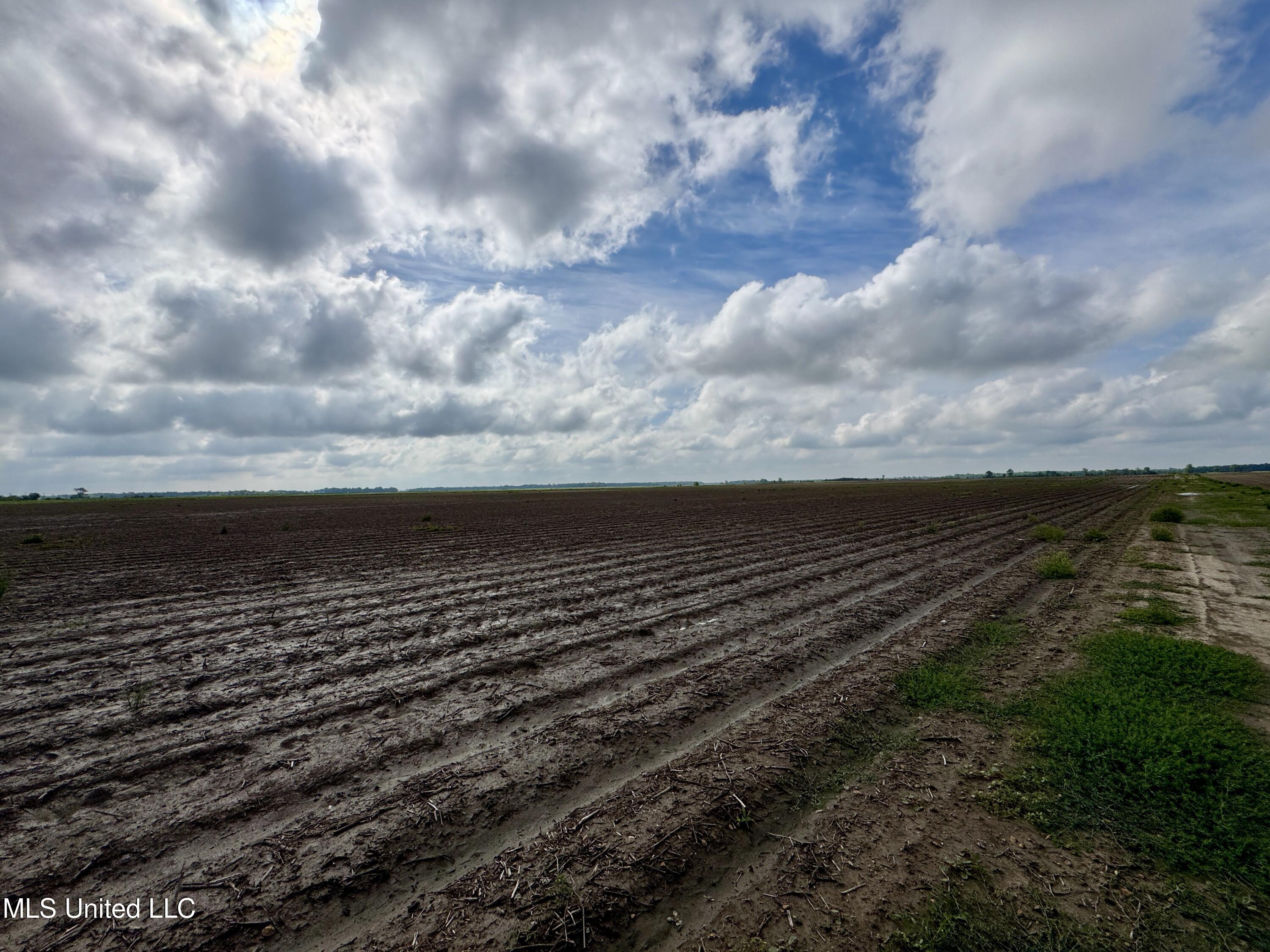 Farrell Road Clarksdale, MS 38614 - Photo 23 of 29 IMG_2577