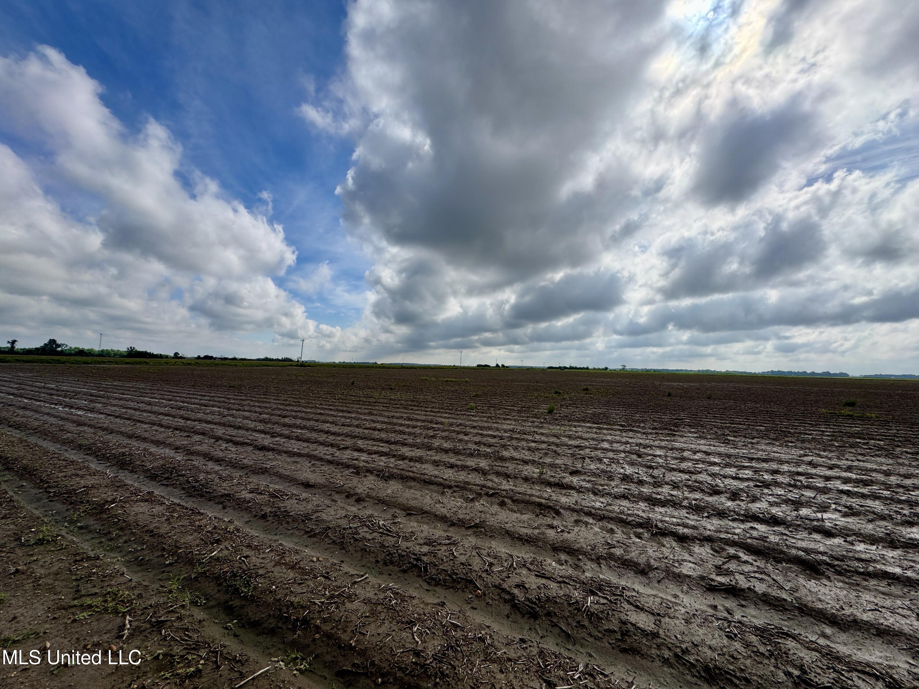 Farrell Road Clarksdale, MS 38614 - Photo 24 of 29 IMG_2578