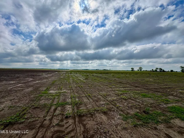 $1,000,000 | Farrell Road, Clarksdale, MS 38614