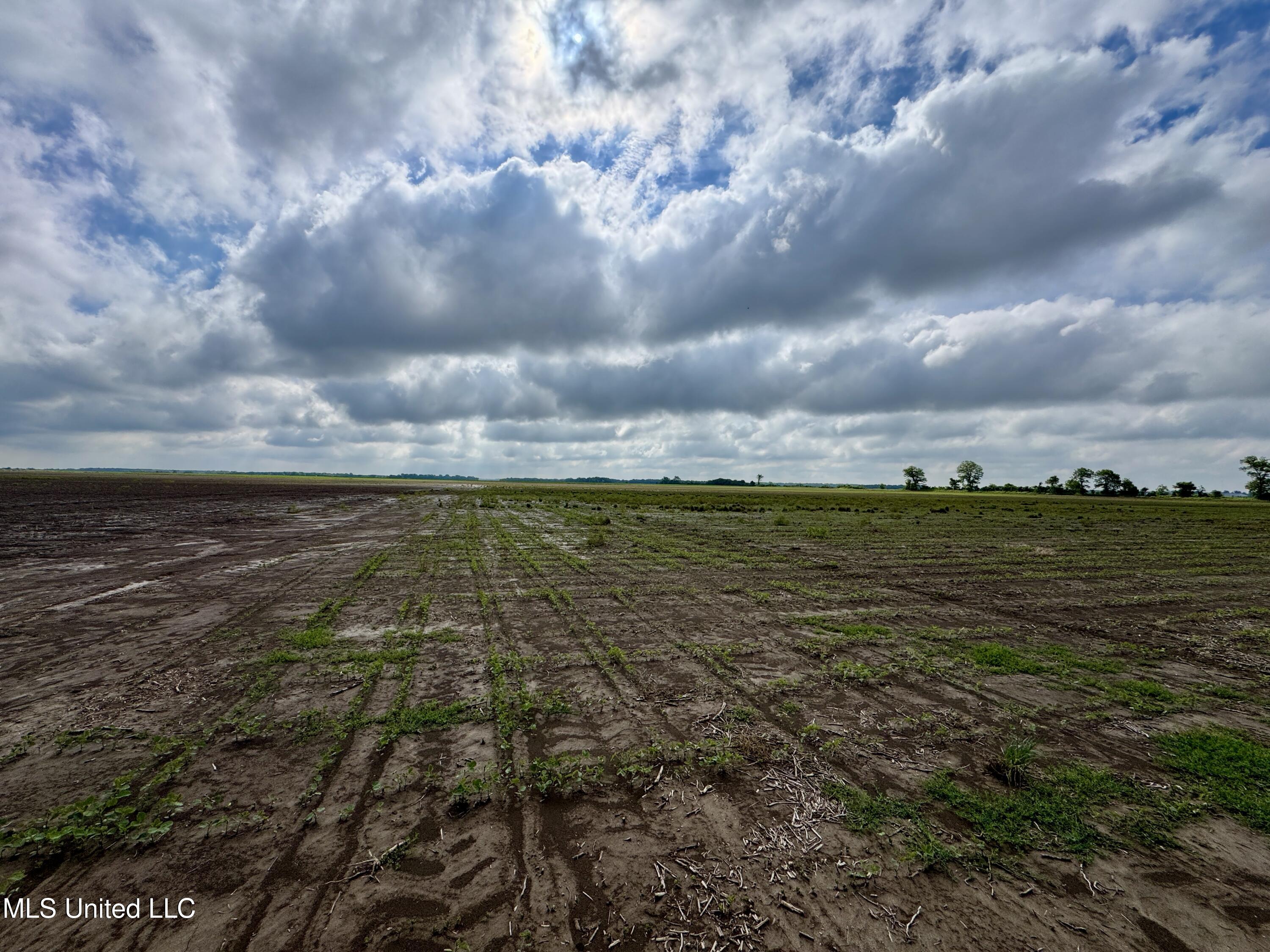 Farrell Road Clarksdale, MS 38614 - Photo 26 of 29 IMG_2581
