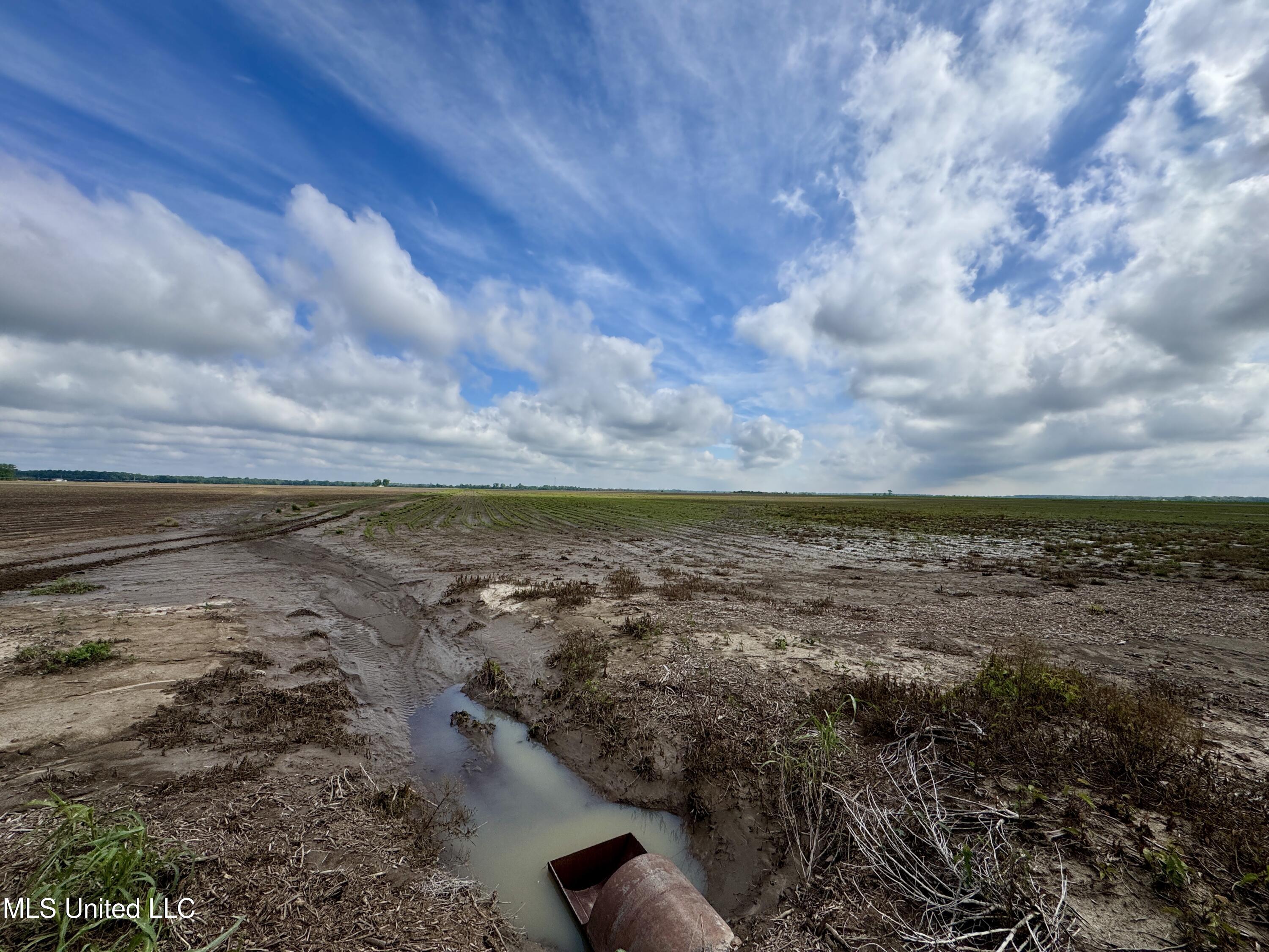 Farrell Road Clarksdale, MS 38614 - Photo 27 of 29 IMG_2583