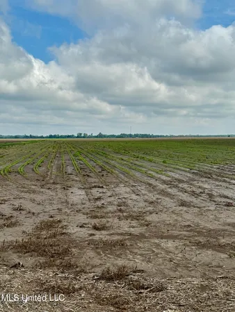 $1,000,000 | Farrell Road, Clarksdale, MS 38614