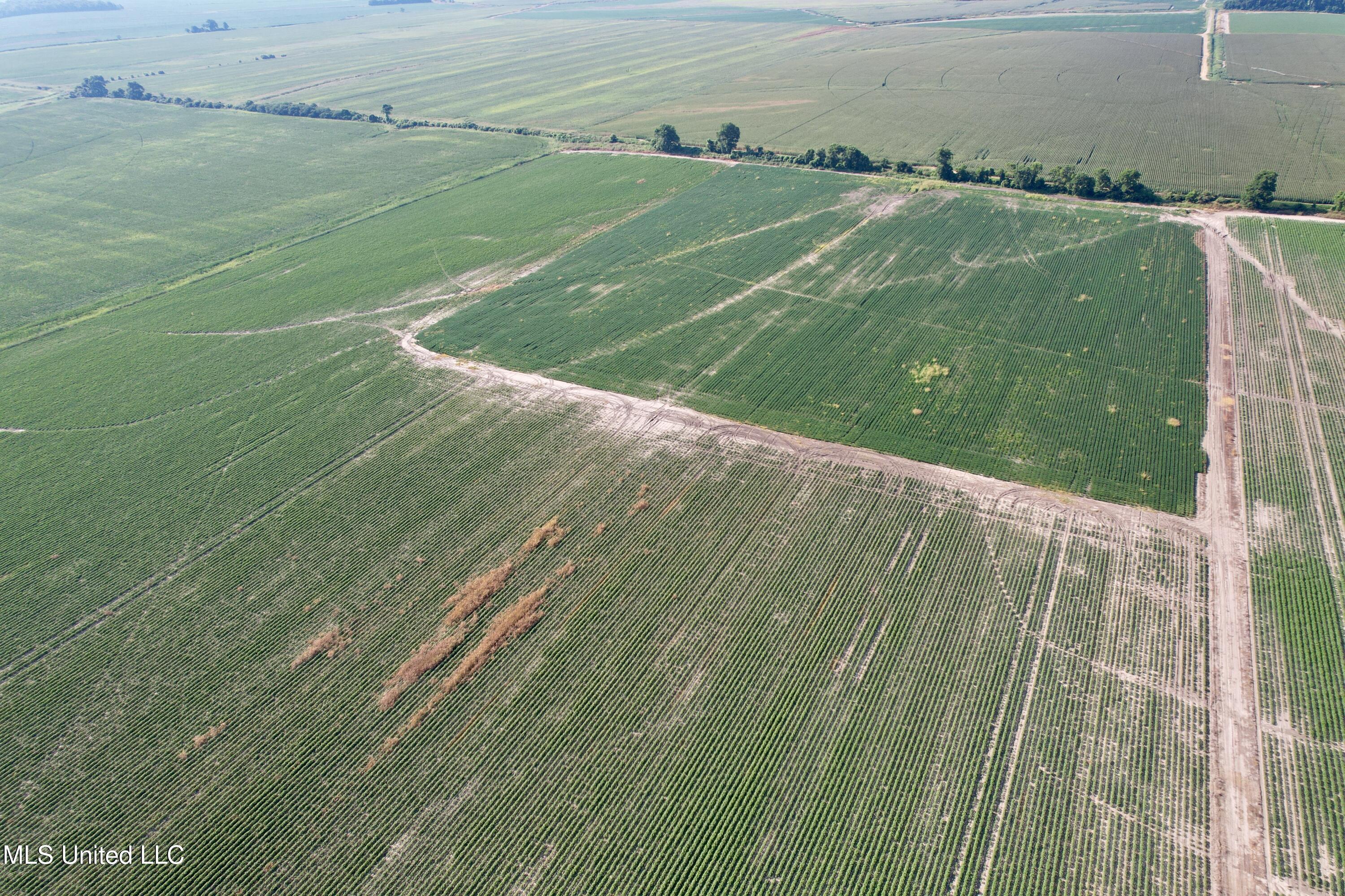 Farrell Road Clarksdale, MS 38614 - Photo 3 of 29 DJI_0063