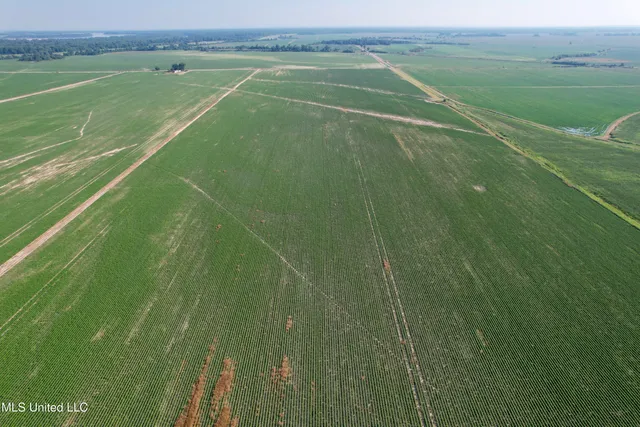 $1,000,000 | Farrell Road, Clarksdale, MS 38614