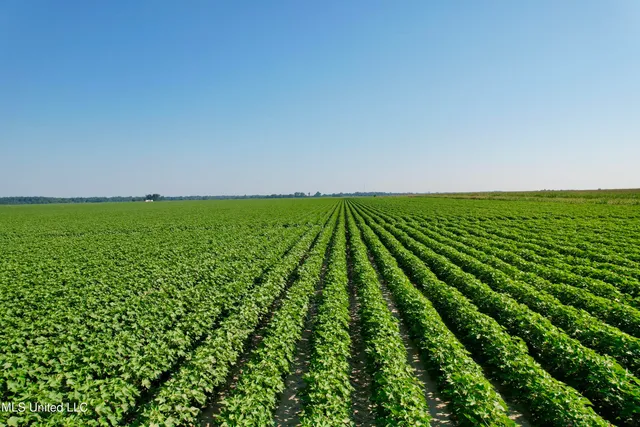 $1,000,000 | Farrell Road, Clarksdale, MS 38614