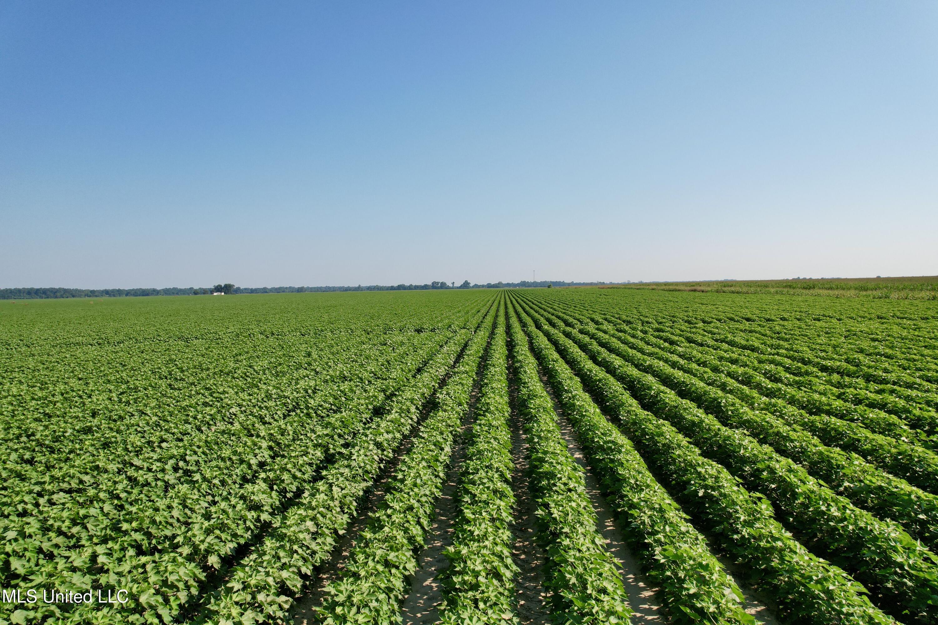 Farrell Road Clarksdale, MS 38614 - Photo 6 of 29 DJI_0066