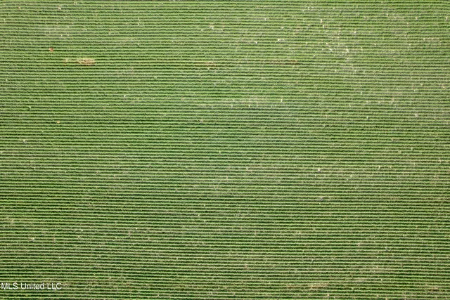 $1,000,000 | Farrell Road, Clarksdale, MS 38614