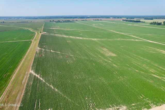 $1,000,000 | Farrell Road, Clarksdale, MS 38614