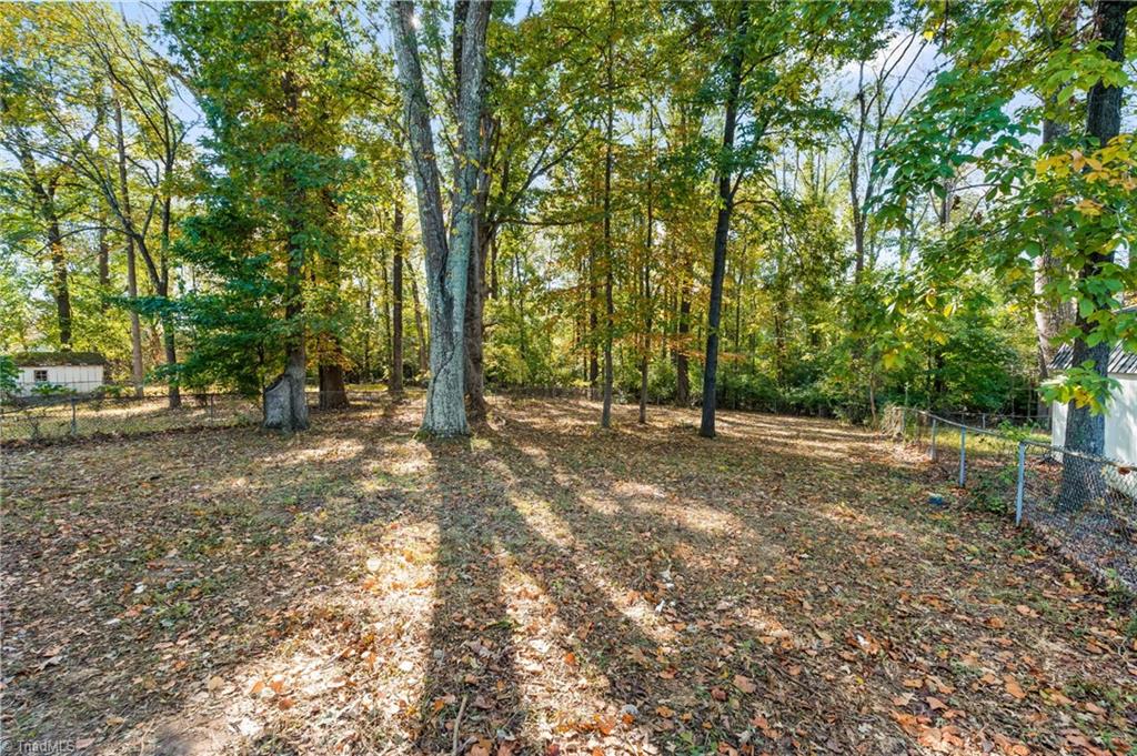 1704 Cedrow Drive High Point, NC 27260 - Photo 23 of 26 Great backyard
