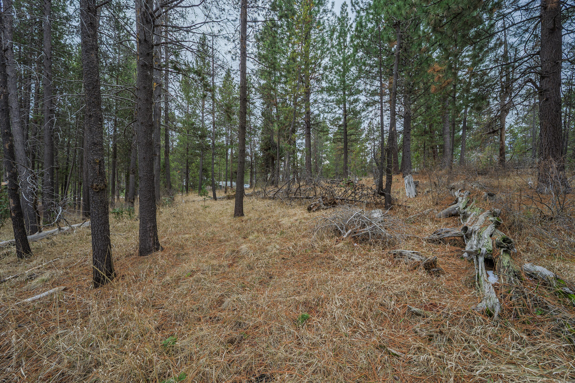 17292 Indio Road Bend, OR 97707 - Photo 24 of 25 Lot