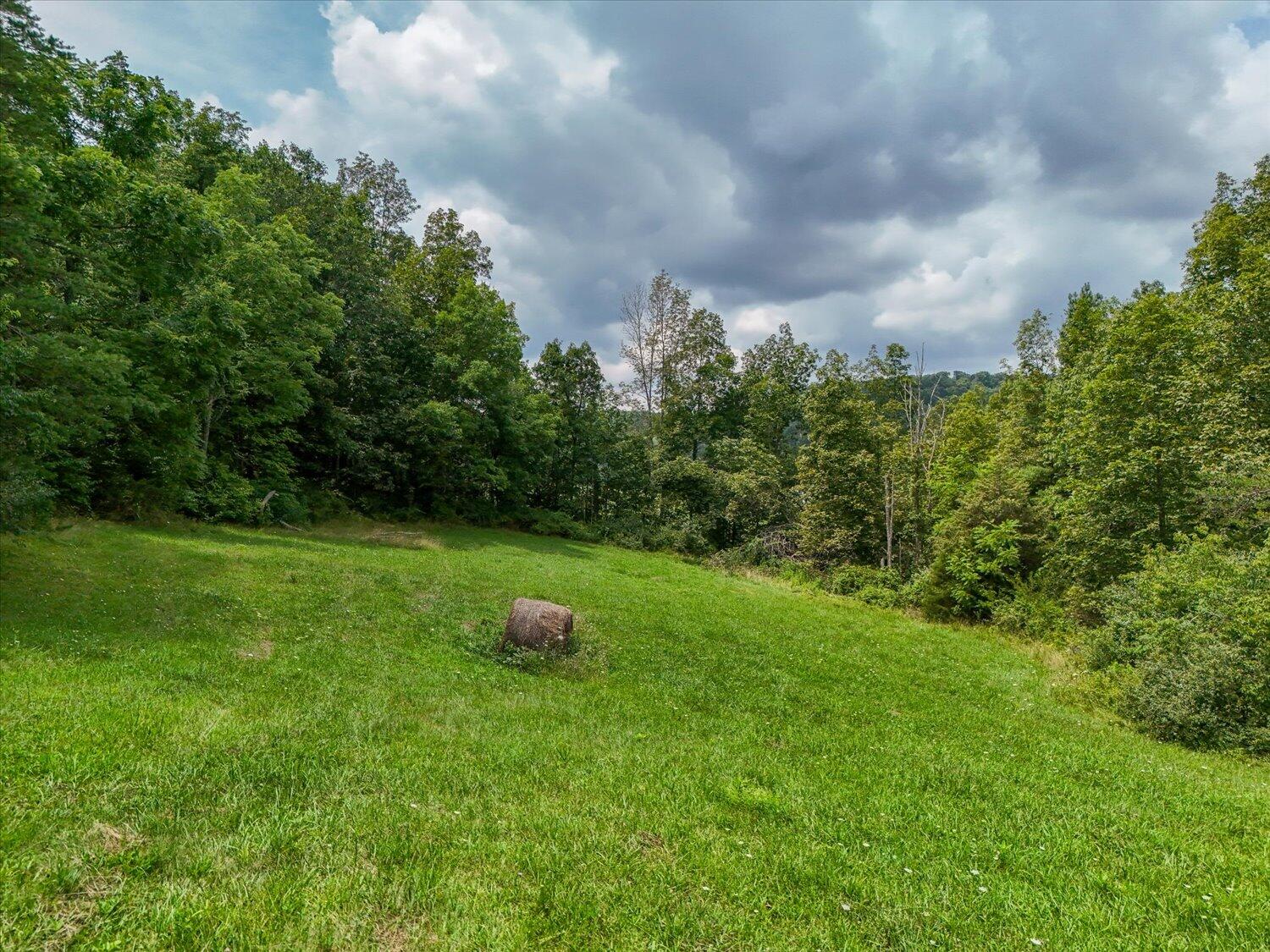 8580 Blacksburg Road Catawba, VA 24070 - Photo 44 of 50 44-8580 Blacksburg-44