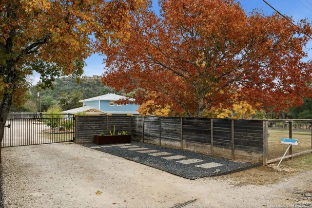 a view of a backyard with a tree